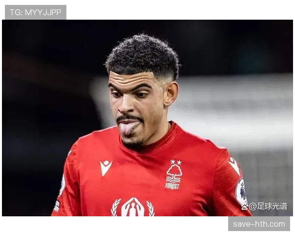 森林续签吉布斯-怀特，积极布局未来引关注